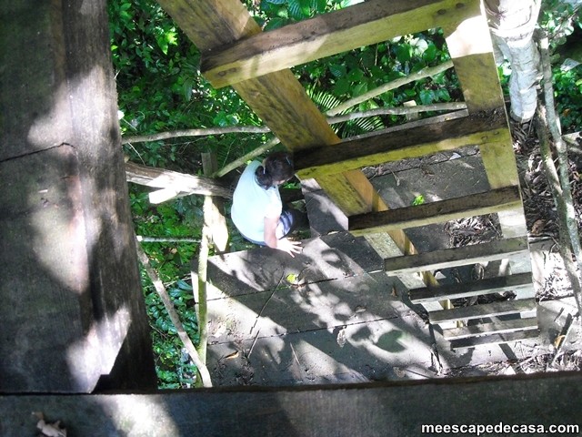 Maju en las escaleras de un mirador cerca al río Shilcayo (Cordillera Escalera, Perú)