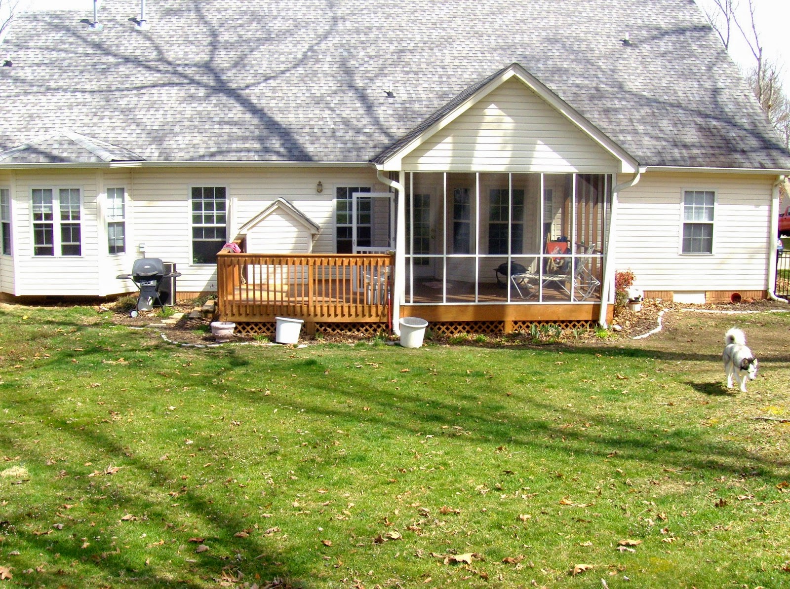 CREATIVE AMBITIONS: DIY Backyard Makeover... part two