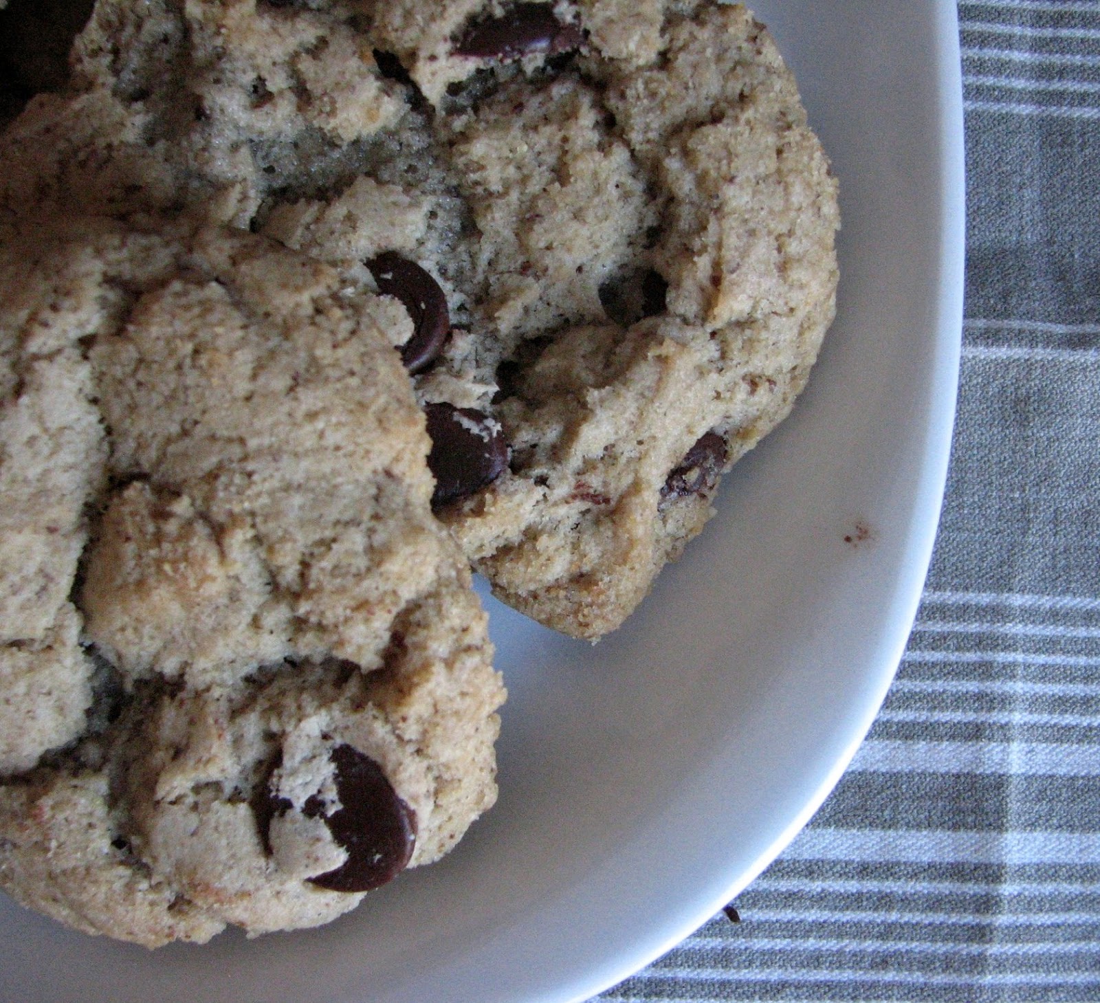 Conscious Eatery Allergyfree Chocolate Chip Cookies