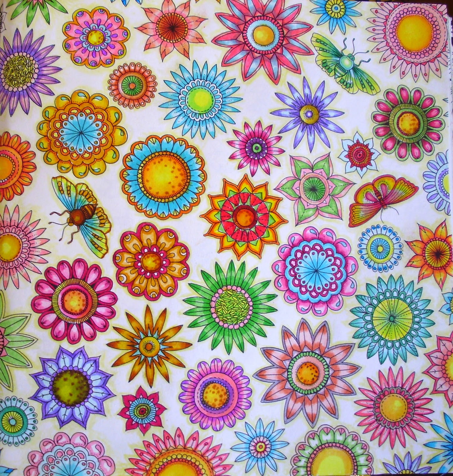 flores jardim secreto:BLOG DA BETH: Nova Dica de pintura no Livro Jardim Secreto flores jardim secreto:BLOG DA BETH: Nova Dica de pintura no Livro Jardim Secreto