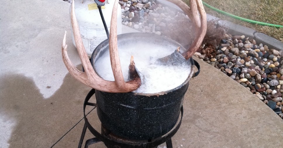 Bones n' Broadheads European Mounts