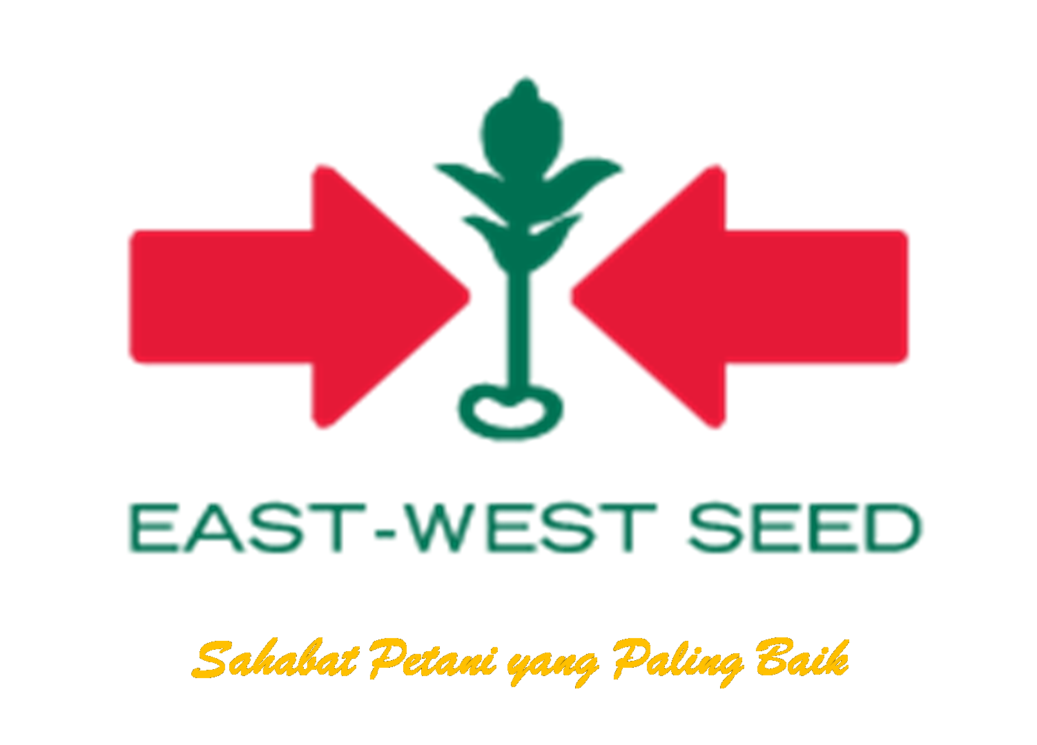 Gaji pt east west seed indonesia