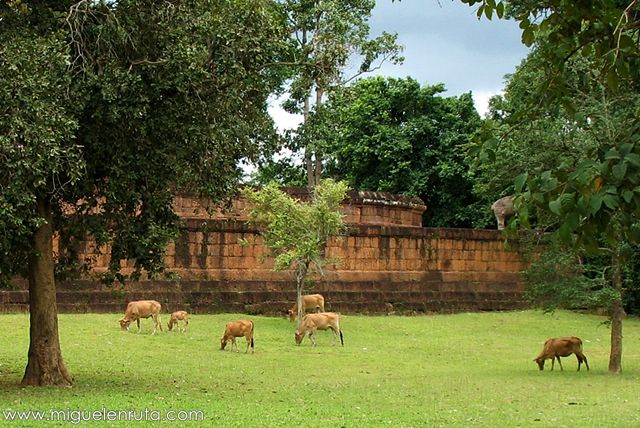 East-Mebon-Templo-Isla-Angkor-3