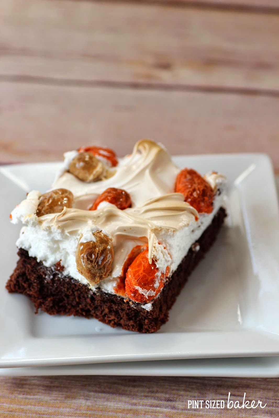 Apple Spice Truffle Cake Apple Spice Truffle Cake