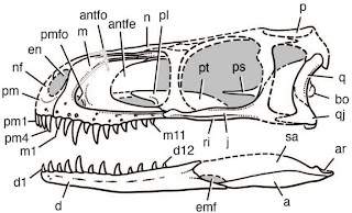 Los primeros dinosaurios