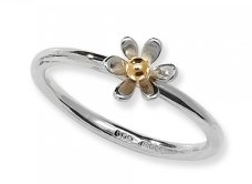 Linda Macdonald Linda Macdonald