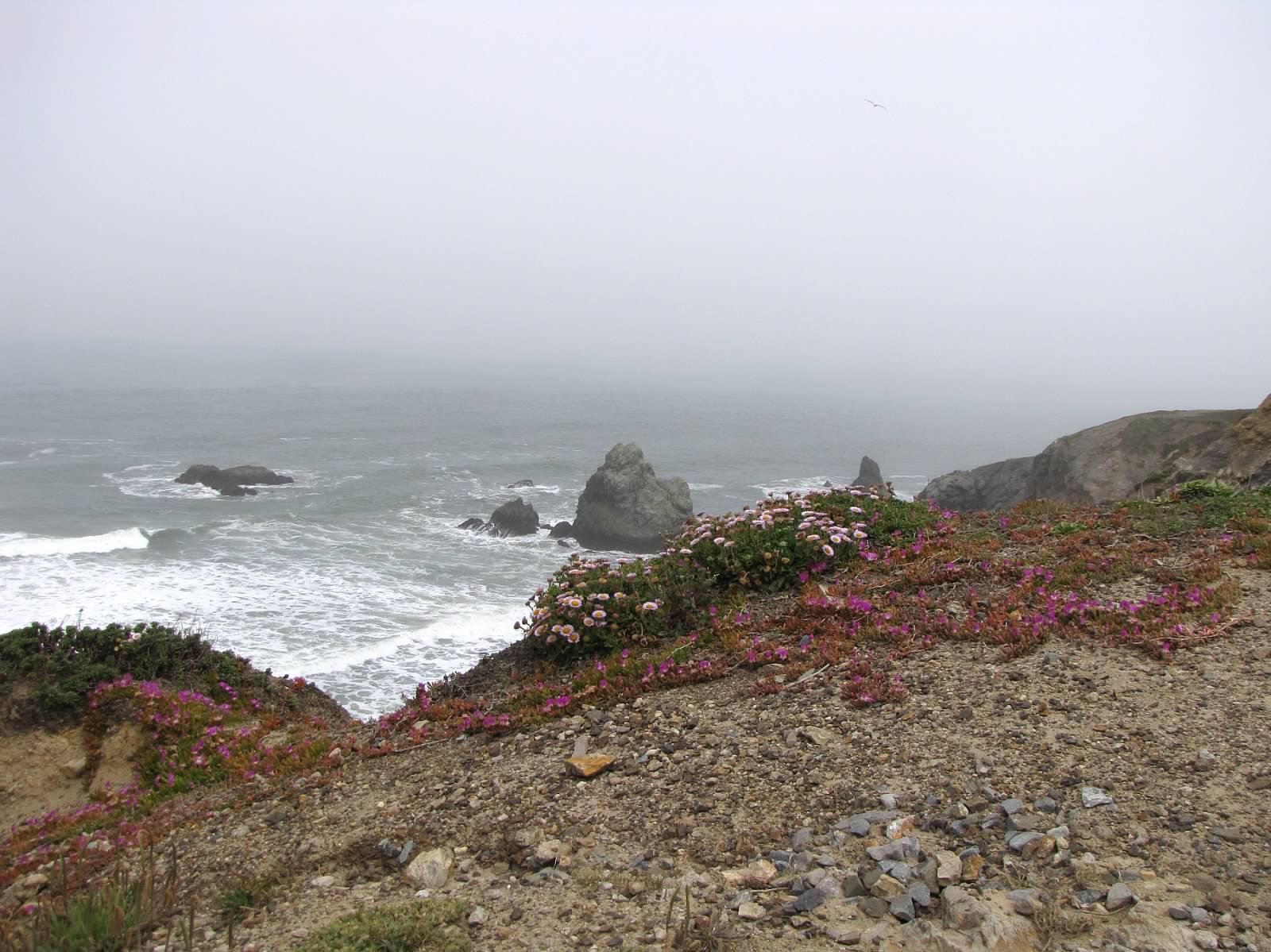 San Francisco Day 7 Lands End The Path To Riches