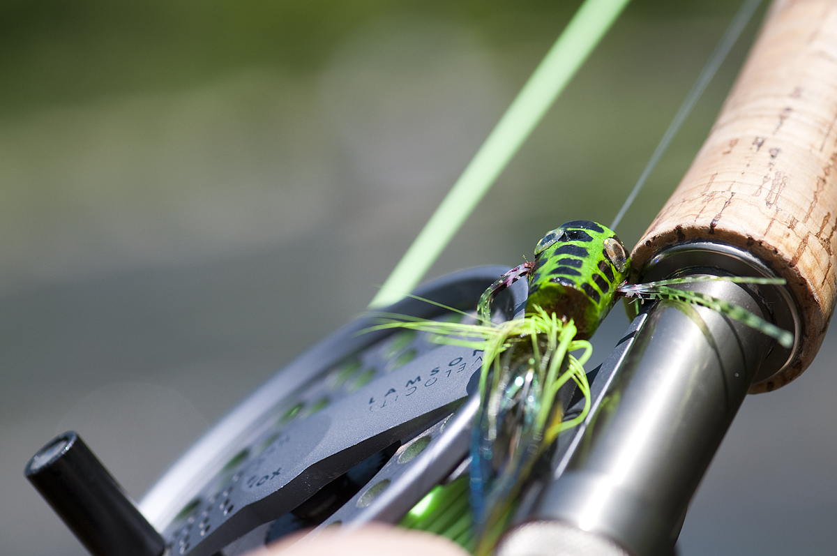 Bass Popper Tutorial