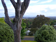 Kings in Grass Castles. The view from Simon's brother's house. (melba view )
