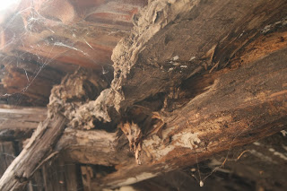 Rotten beams Rotten beams