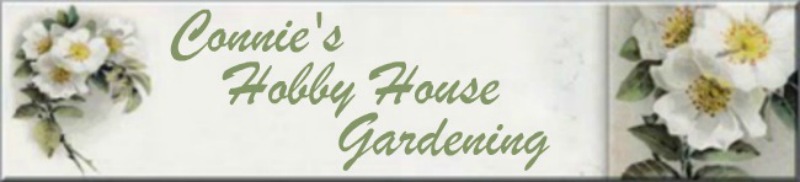 Connie's Hobby House Gardening