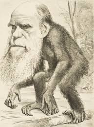 Evolution is a Lie - Intelligent Design is the Truth! Monkey-darwin