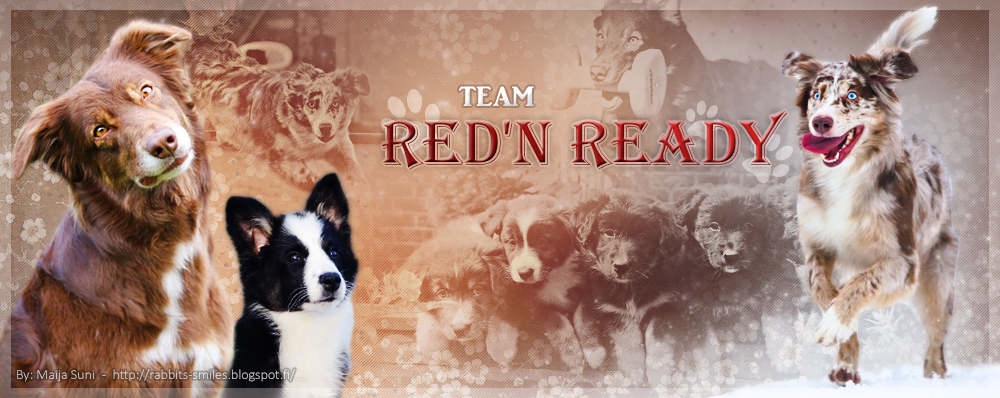 Team Red'n Ready