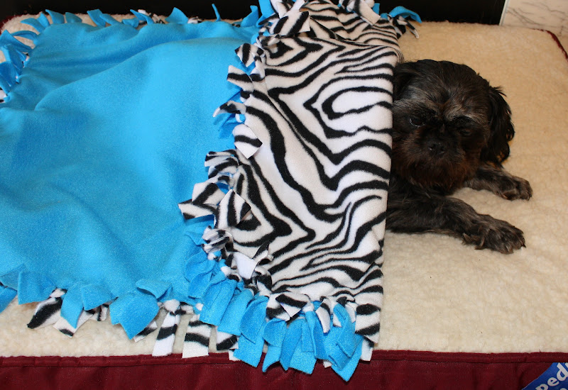 DIY TUTORIAL: No sew blanket. As makers we all have a big stack ofDIY TUTORIAL: No sew blanket. As makers we all have a big stack offabricscraps and sometimes we don't know I decided to make a scrappyDIY TUTORIAL: No sew blanket. As makers we all have a big stack ofDIY TUTORIAL: No sew blanket. As makers we all have a big stack offabricscraps and sometimes we don't know I decided to make a scrappyblanketwith knitDIY TUTORIAL: No sew blanket. As makers we all have a big stack ofDIY TUTORIAL: No sew blanket. As makers we all have a big stack offabricscraps and sometimes we don't know I decided to make a scrappyDIY TUTORIAL: No sew blanket. As makers we all have a big stack ofDIY TUTORIAL: No sew blanket. As makers we all have a big stack offabricscraps and sometimes we don't know I decided to make a scrappyblanketwith knitfabric. DIY TUTORIAL: No sew blanket. As makers we all have a big stack ofDIY TUTORIAL: No sew blanket. As makers we all have a big stack offabricscraps and sometimes we don't know I decided to make a scrappyDIY TUTORIAL: No sew blanket. As makers we all have a big stack ofDIY TUTORIAL: No sew blanket. As makers we all have a big stack offabricscraps and sometimes we don't know I decided to make a scrappyblanketwith knitDIY TUTORIAL: No sew blanket. As makers we all have a big stack ofDIY TUTORIAL: No sew blanket. As makers we all have a big stack offabricscraps and sometimes we don't know I decided to make a scrappyDIY TUTORIAL: No sew blanket. As makers we all have a big stack ofDIY TUTORIAL: No sew blanket. As makers we all have a big stack offabricscraps and sometimes we don't know I decided to make a scrappyblanketwith knitfabric.