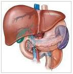 pengobatan hepatitis b