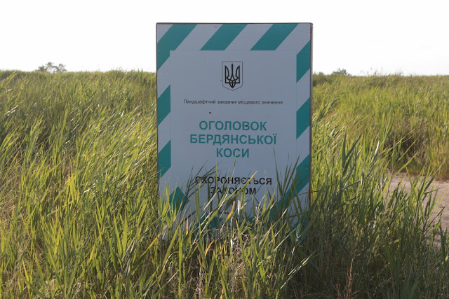 Оголовок бердянской косы