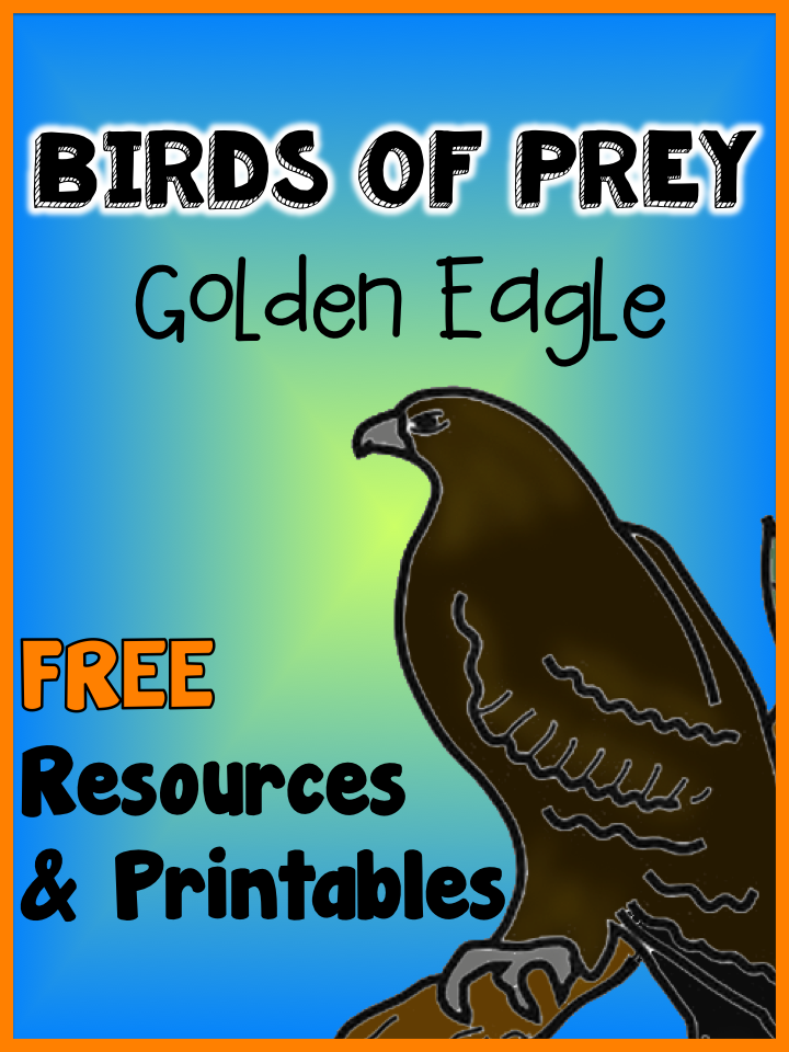 Birds of Prey: Golden Eagle | Teach123