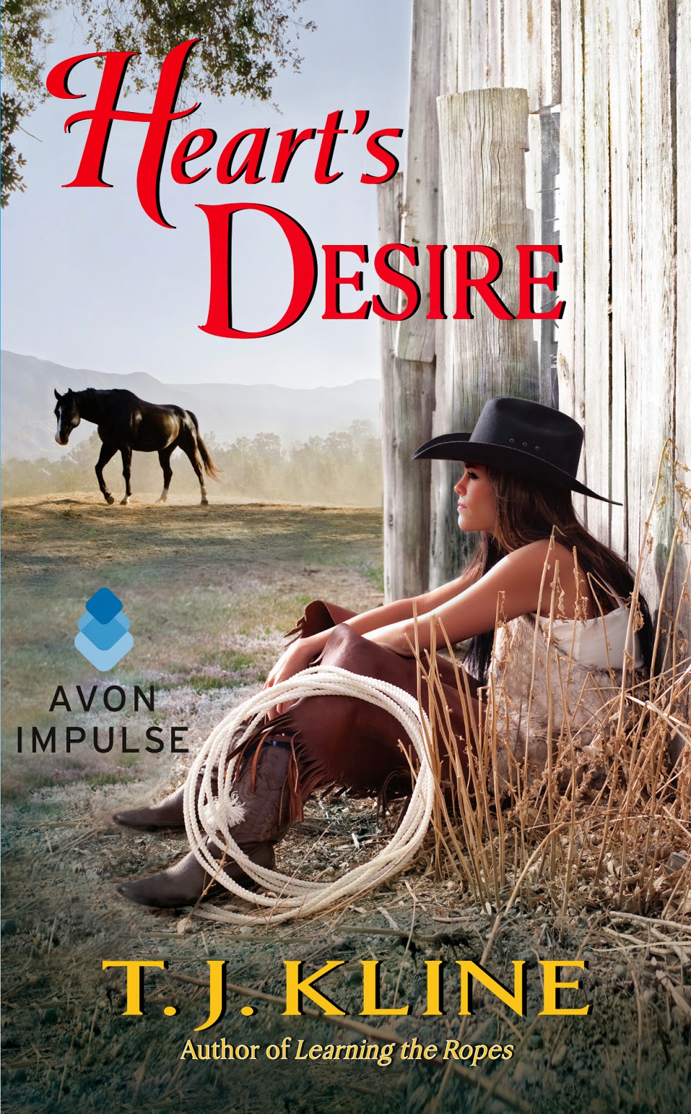Heart's Desire Cover Reveal feat Exclusive EXCERPT! The Lovely Books