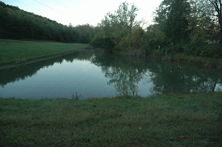 9. Pond at Sterchi Hills Greenway Trail.