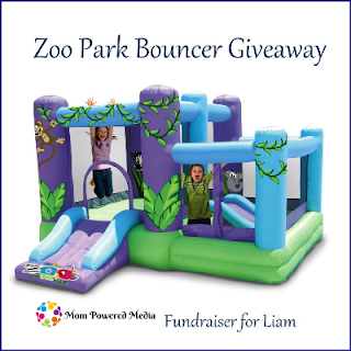 Zoo Park Bouncer