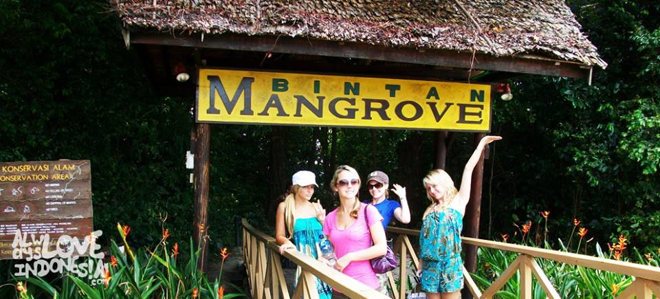 Wisata Mangrove