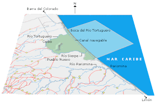 ECOSISTEMAS DE COSTA RICA: PARQUE NACIONAL TORTUGUERO
