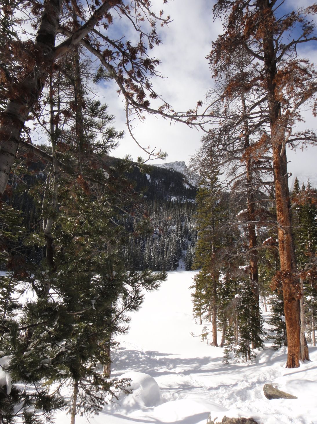 Hiking Rocky Mountain National Park Spruce Lake in the winter.