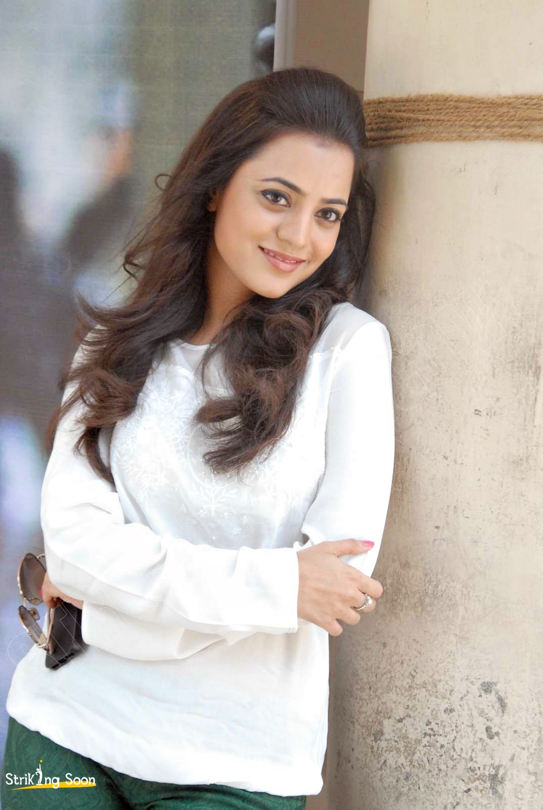 Nisha Agarwal Photos At Sukumarudu Triple Platinum Disc Hot