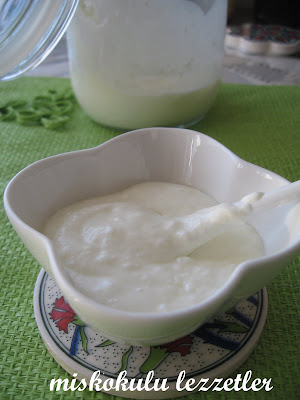 Taze Krema (Creme Fraiche)