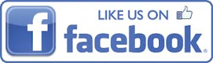 Facebook Fan Page