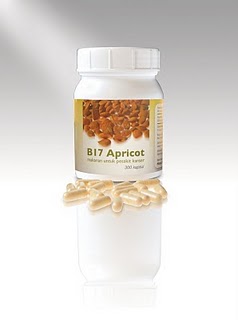 BIji apricot dan Vitamin B17 | Ubat kanser dan Penyakit Kronik Botol+apricot