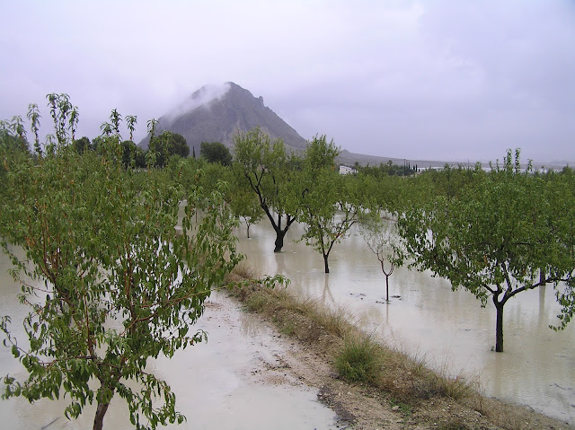 Desde El Rebolledo durante Gota Fria