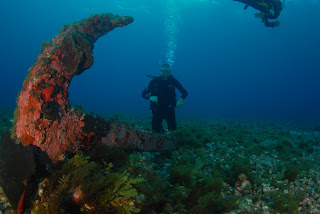 www.sailingoceanofdreams.blogspot.com. Fernando de Noronha 2012