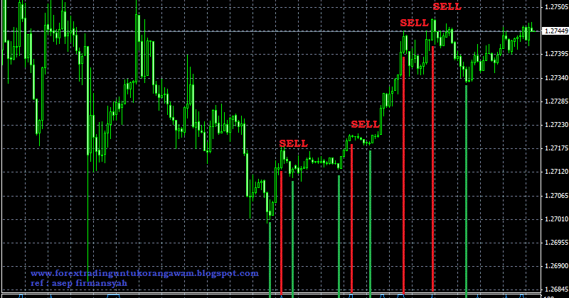 Orang kaya dari trading forex