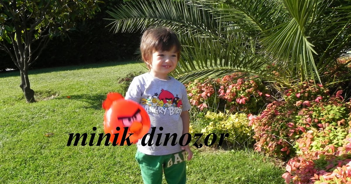 Haftasonu�ndan&hellip;* Minik Dinozor Hikayeleri Anne Bebek Blogu..