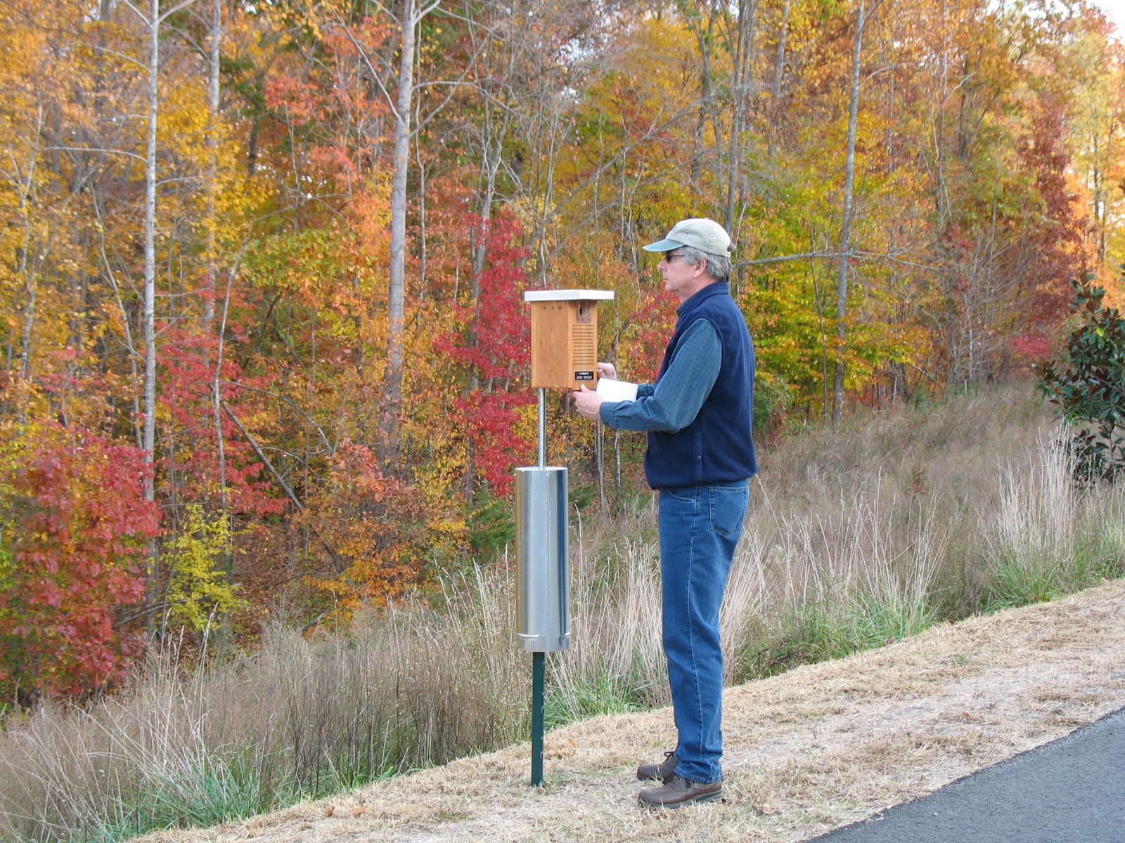 Sialia: Article about PSBRP and Western and Mountain Bluebirds