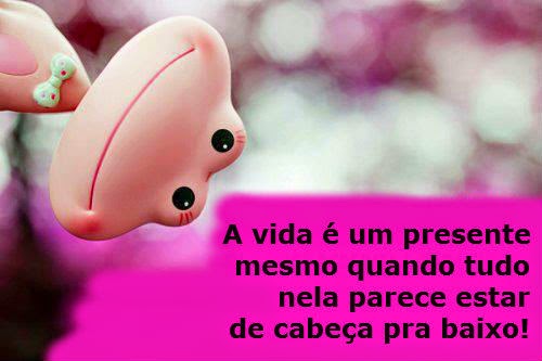 VIVER