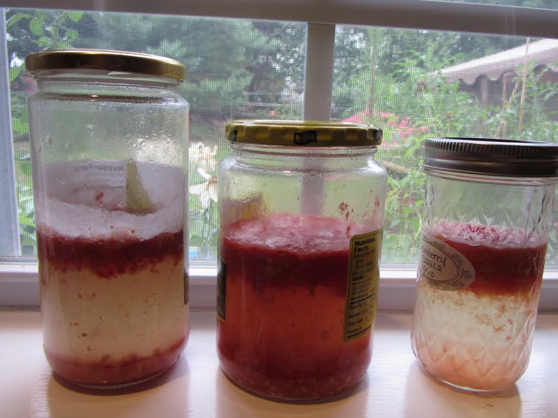 The Rusted Vegetable Garden