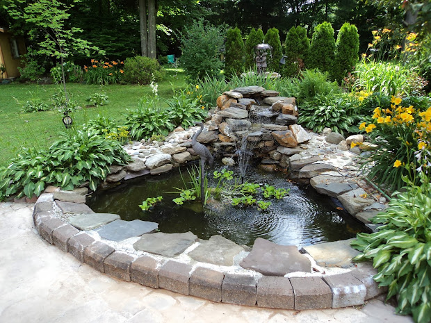 backyard and pond project redo