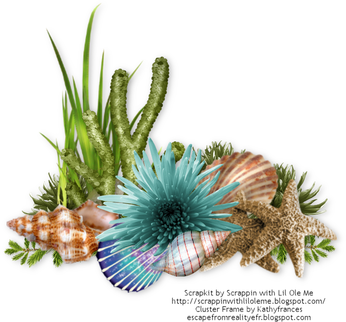 Escape From Reality Blog: FTU Summertime Cluster