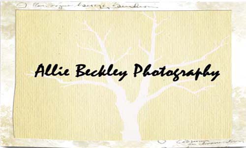 Allie Beckley Photography