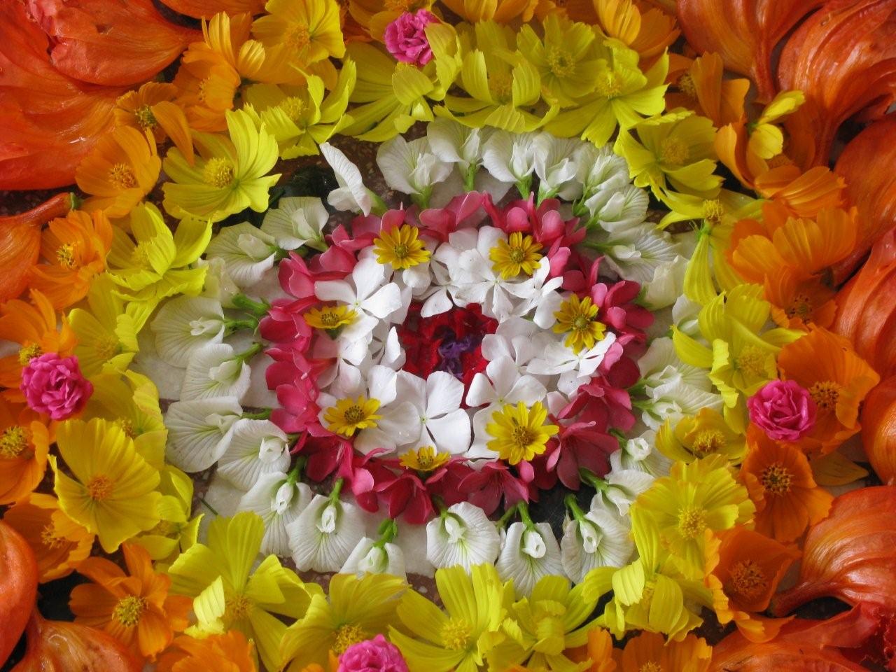 http://4.bp.blogspot.com/-PD4xdepfUXA/Tmm892Zh4UI/AAAAAAAABc4/-99NoNdQnL0/s1600/Onam+Athappookkalam+6.jpg