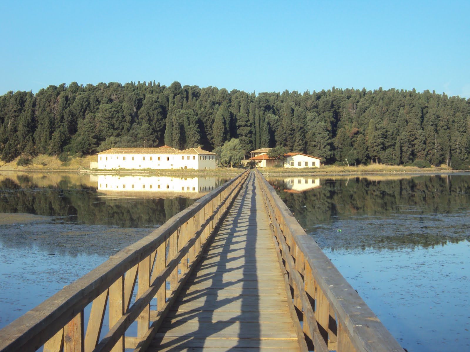 Rezultate imazhesh për foto svernec