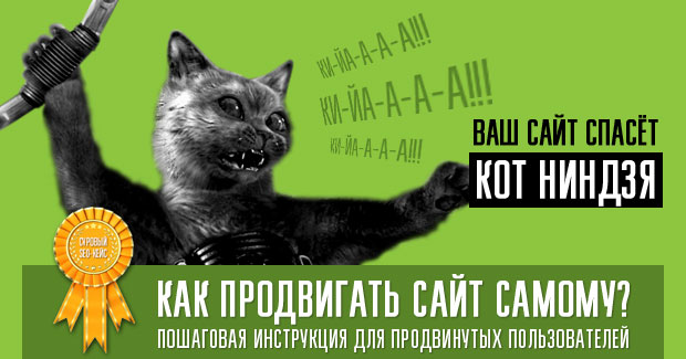 Кот Ниндзя