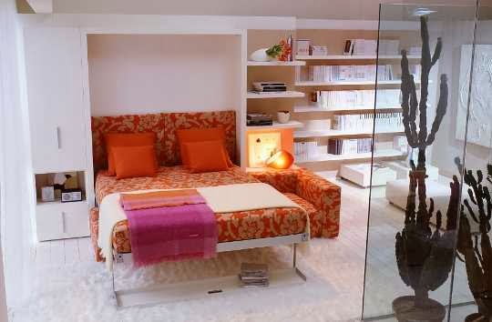 luxurius apartment design maximizes space