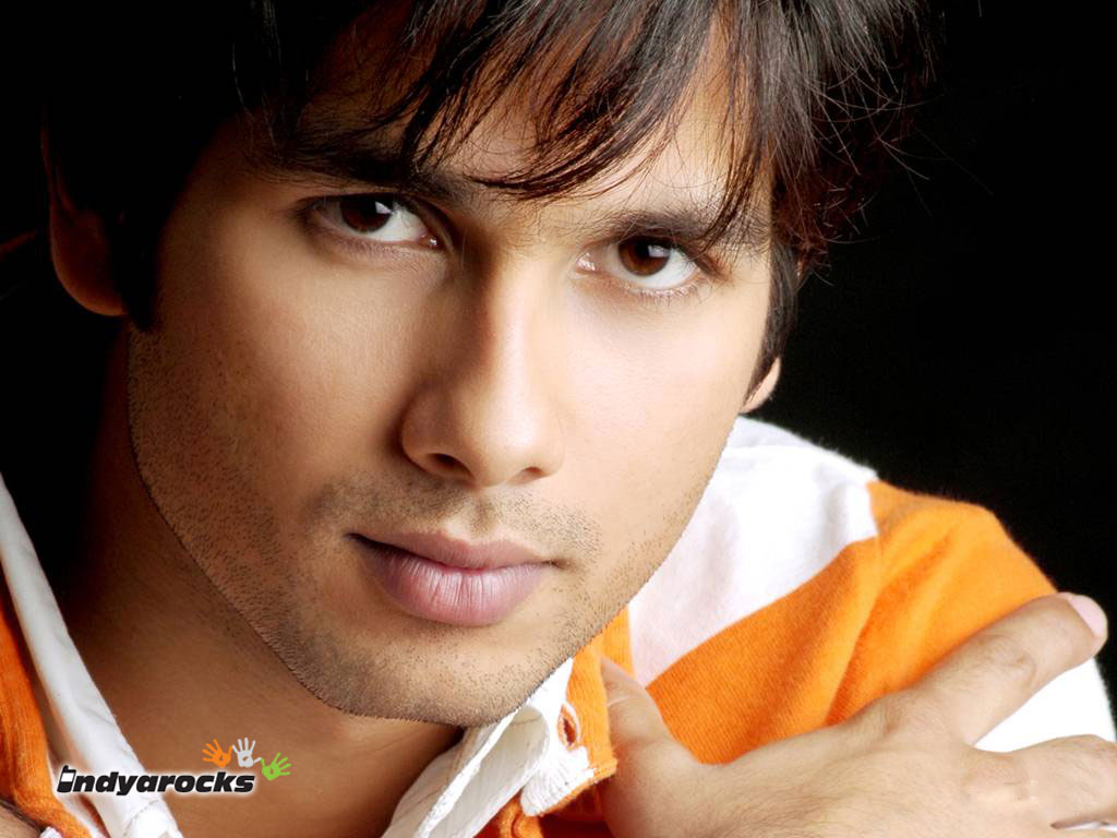Wallpaper Gallery: shahid Kapoor