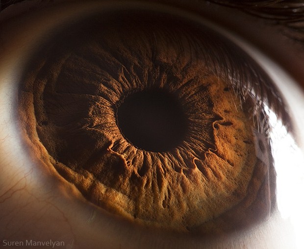 Awesome Eye Photography by Suren Manvelyan