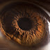 Awesome Eye Photography by Suren Manvelyan