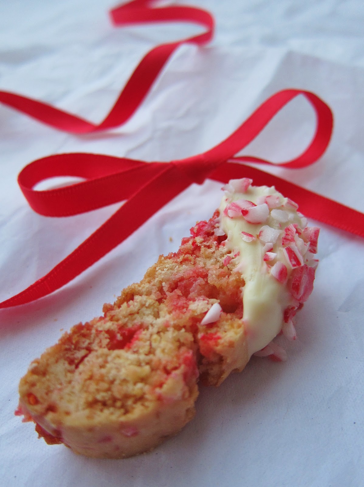 Arctic Garden Studio Candy Cane Biscotti