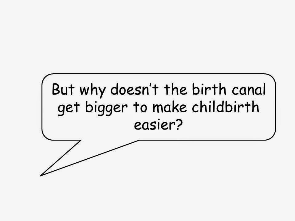 What is the length of the birth canal?